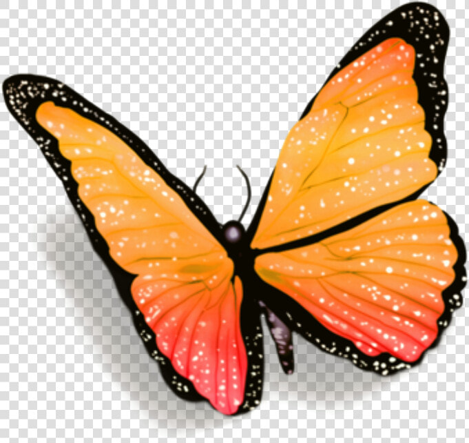  butterfly  butterflies  petsandanimals  fly  overlay   Blue Butterfly With Shadow  HD Png DownloadTransparent PNG