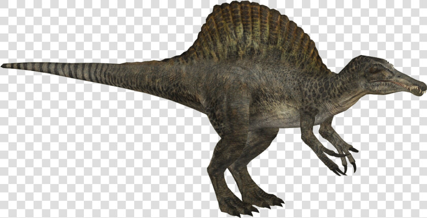 Spinosaurus Png  Transparent PngTransparent PNG