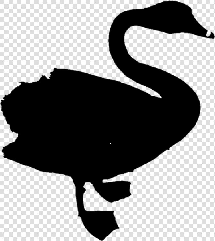 Duck Goose Clip Art Fauna Silhouette   Black Swan  HD Png DownloadTransparent PNG