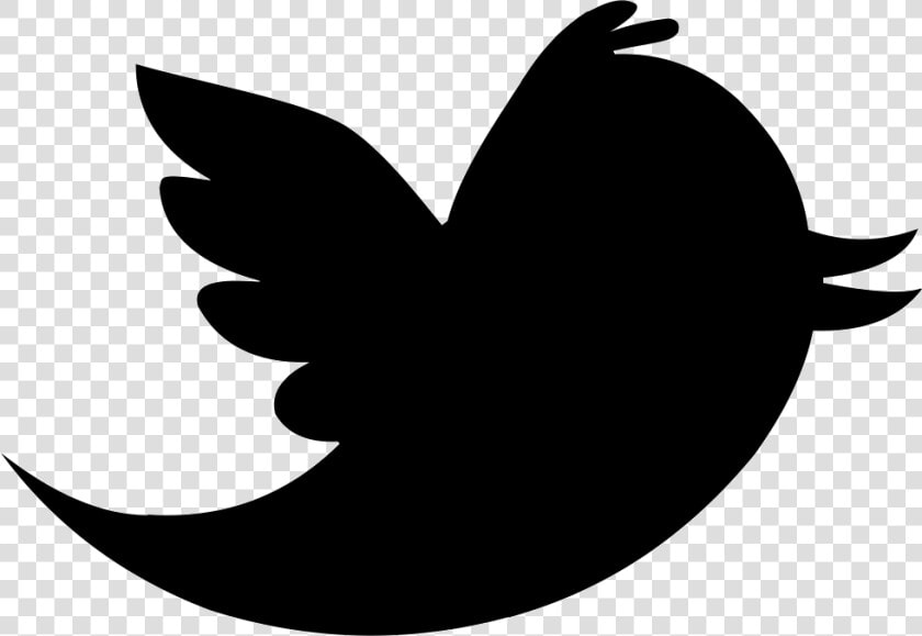 Twitter Bird Icon Png   Nuevo Logo Twitter Png  Transparent PngTransparent PNG