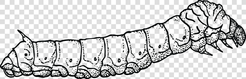 Black And White Caterpillar Png   Silkworm Black And White  Transparent PngTransparent PNG