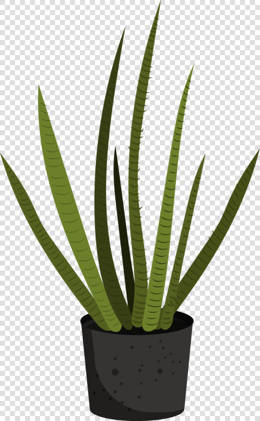 Flowerpot  HD Png DownloadTransparent PNG