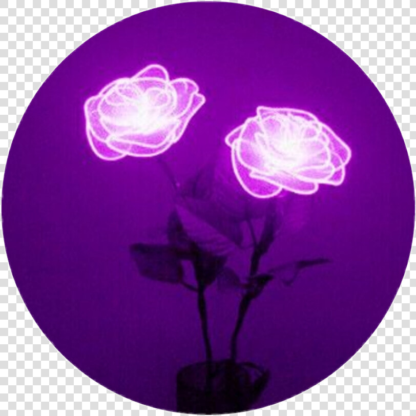  aesthetic  tumblr  purple  circle   Purple Aesthetics  HD Png DownloadTransparent PNG