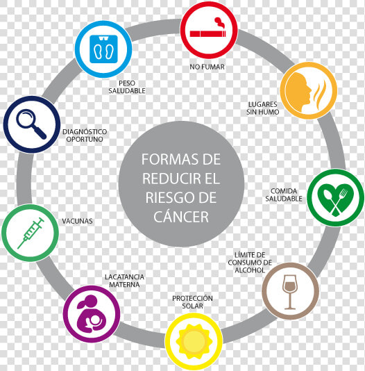 Formas De Reducir El Riesgo De Cáncer   Circle  HD Png DownloadTransparent PNG