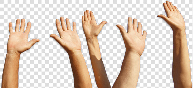 Raise The Roof Hands  HD Png DownloadTransparent PNG