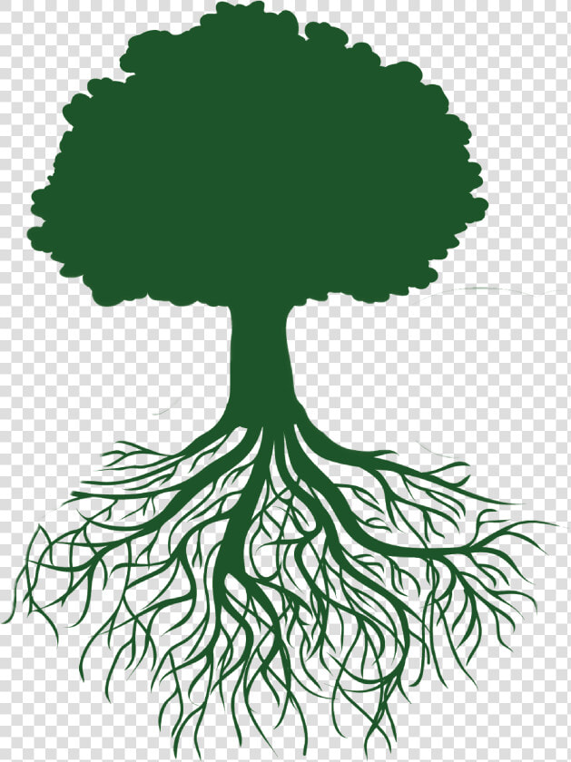 Clip Art Roots Illustration   Tree Outline With Roots  HD Png DownloadTransparent PNG