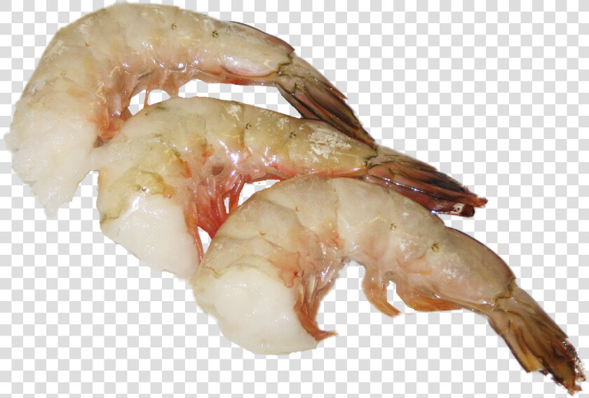 Botan Shrimp  HD Png DownloadTransparent PNG