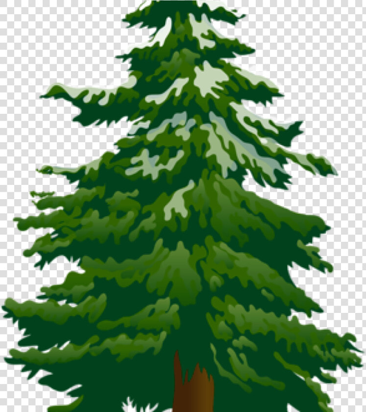 Pine Tree Clip Art Tree Clip Art Snowy Pine Tree Clipart   Transparent Background Pine Tree Clipart  HD Png DownloadTransparent PNG