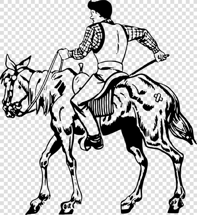 English Riding horse Tack headgear   Horse  HD Png DownloadTransparent PNG