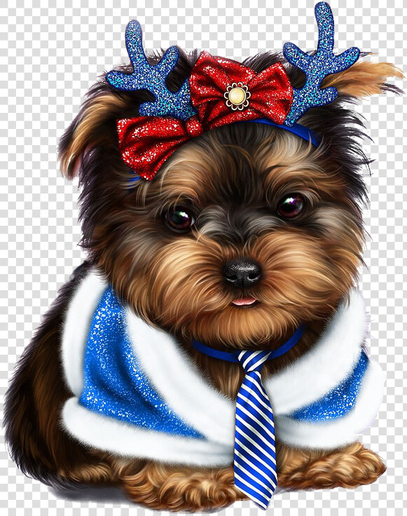 Yorkie  Yorkies  Yorkshire Terrier  Yorkshire Terriers   Yorkie Vector Png  Transparent PngTransparent PNG