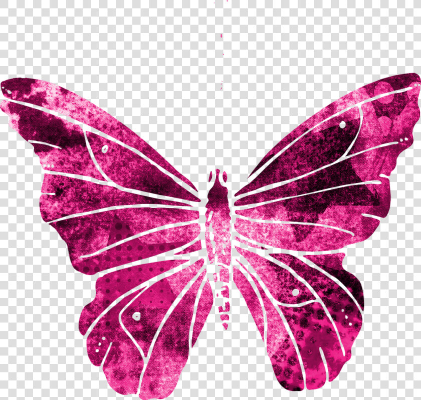 Butterfly  Pink  Clipart  Cute  Flying  Wings  Nature   Flying Pink Transparent Butterfly  HD Png DownloadTransparent PNG