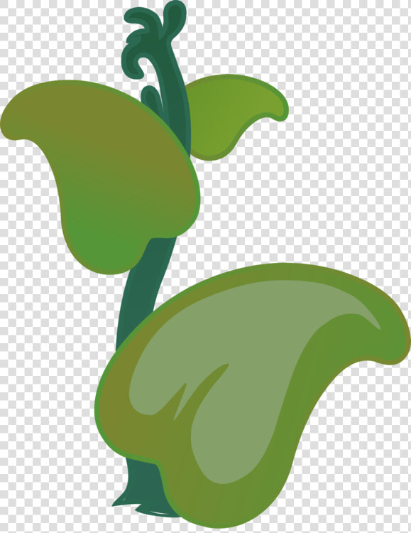 Plant flora leaf   Plants  HD Png DownloadTransparent PNG