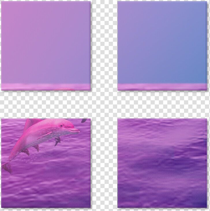 Magneto Dolphin De Renan Oliveirana   Common Dolphins  HD Png DownloadTransparent PNG