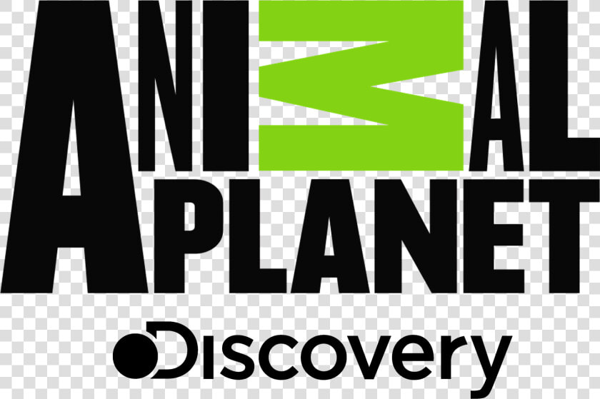 Animal Planet Png   Discovery Animal Planet Logo  Transparent PngTransparent PNG