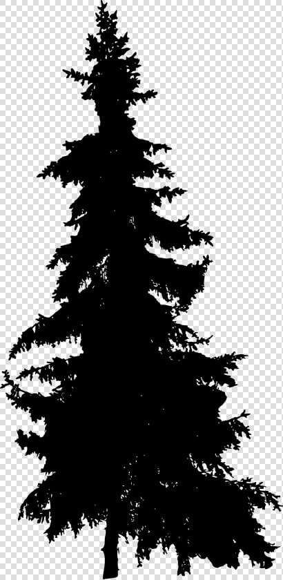 Pine Tree Silhouette Title Pine Tree Silhouette   Silhouette Pine Tree Png  Transparent PngTransparent PNG