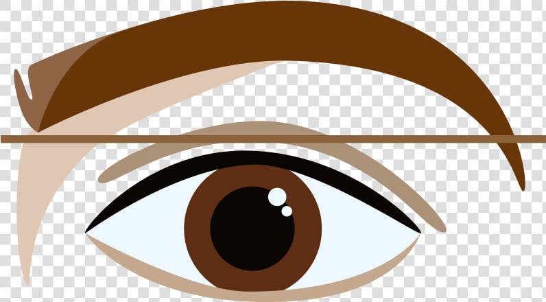 How To Shape Your   Eyebrow  HD Png DownloadTransparent PNG