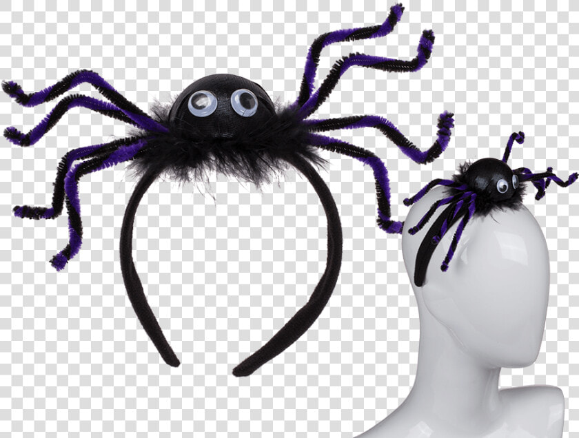 Tarantula  HD Png DownloadTransparent PNG