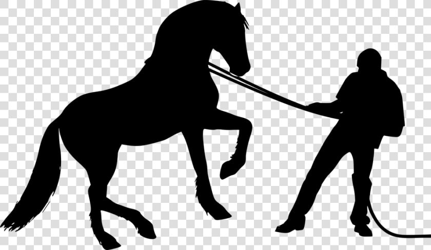 Cavalo  Homem  Formação  Selvagem  Silhueta  Animal    Horse Trainer Silhouette  HD Png DownloadTransparent PNG