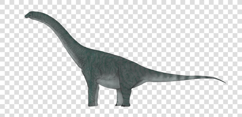 Sauropod Background Png   Tyrannosaurus  Transparent PngTransparent PNG