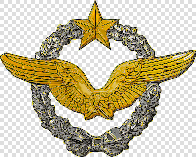 French Af Pilot Wings   Pilot  HD Png DownloadTransparent PNG