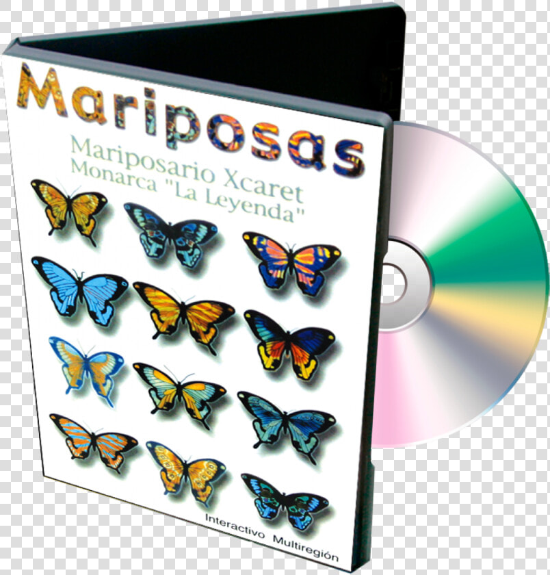 Transparent Mariposas Png   Clasificacion De Mariposas  Png DownloadTransparent PNG