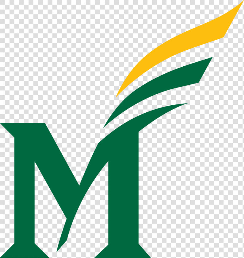 George Mason University Colors  HD Png DownloadTransparent PNG