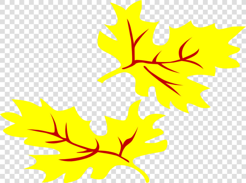 2012 October 04 Xochi   Fall Leaf Drawing Png  Transparent PngTransparent PNG