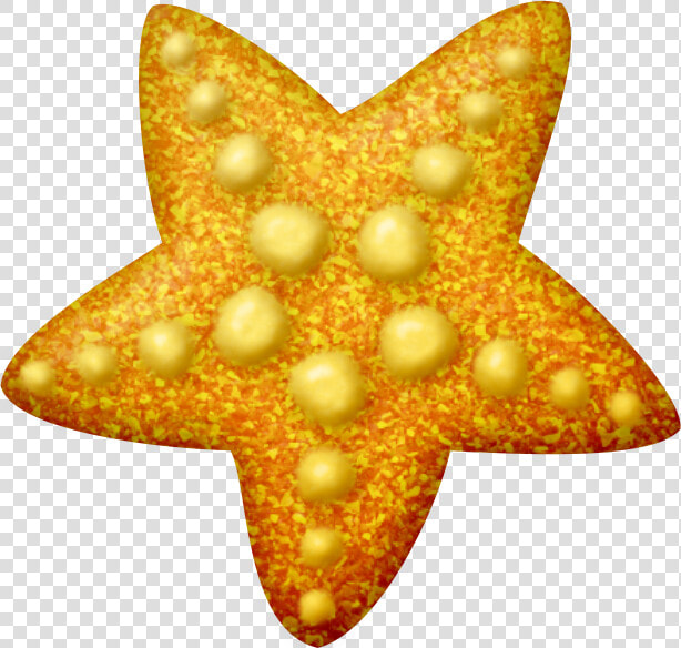 Estrellas De Mar Infantiles  HD Png DownloadTransparent PNG