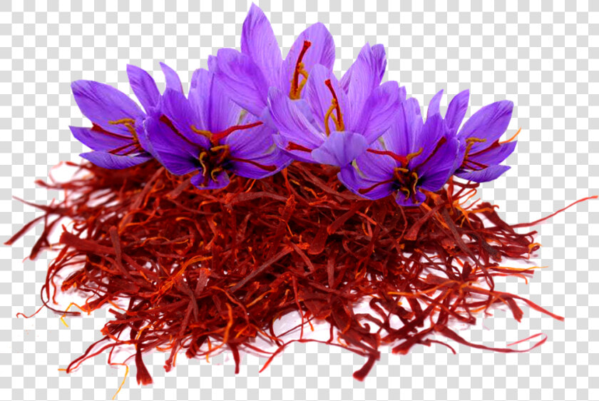 Saffron Png Image File   Kashmir Saffron Flower  Transparent PngTransparent PNG