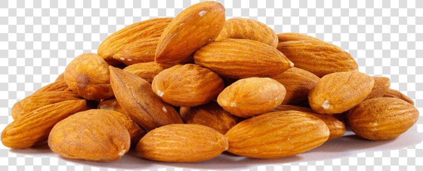 Almond Png File   Almonds Transparent  Png DownloadTransparent PNG