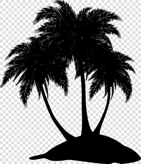 Asian Palmyra Palm Black  amp  White   Attalea Speciosa  HD Png DownloadTransparent PNG