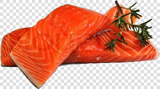 Salmon Fillet Png  Transparent PngTransparent PNG