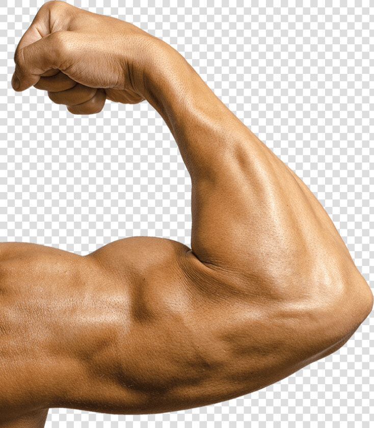 Slider 1819 Vanya Bicep   Bicep Png  Transparent PngTransparent PNG