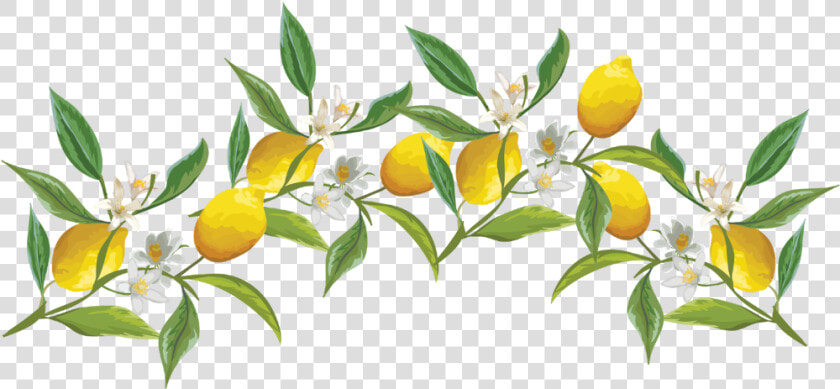  lemon  fruitflower  flower  crown  flowercrown  ftestickers   Lemon Crown Transparent Png  Png DownloadTransparent PNG