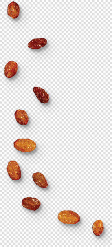 Raisin Png  Transparent PngTransparent PNG