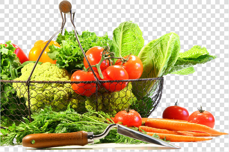 Vegetable Png Image   Fruit And Veg Transparent Background  Png DownloadTransparent PNG