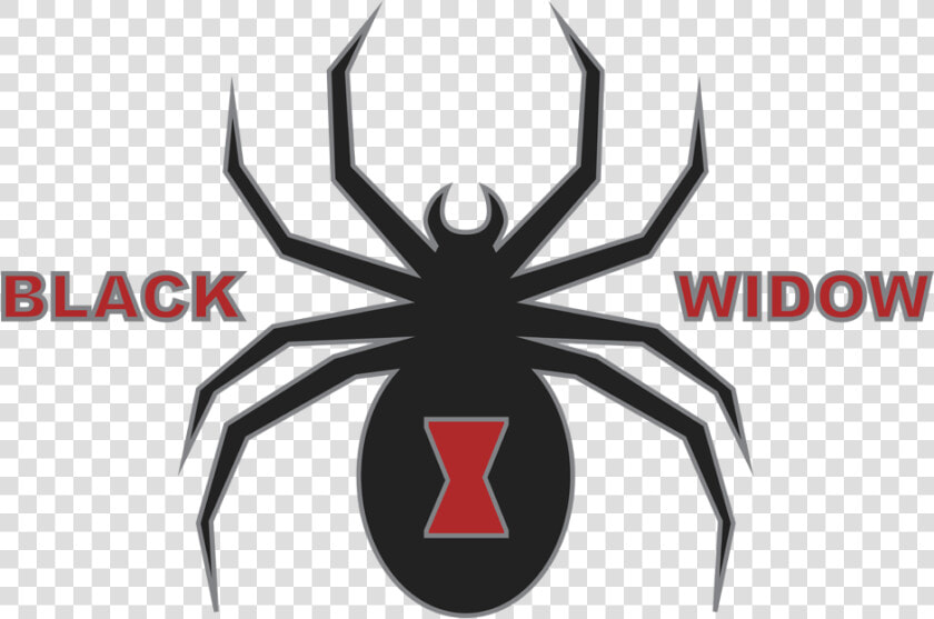 Black Widow   Chevy Black Widow Logo  HD Png DownloadTransparent PNG