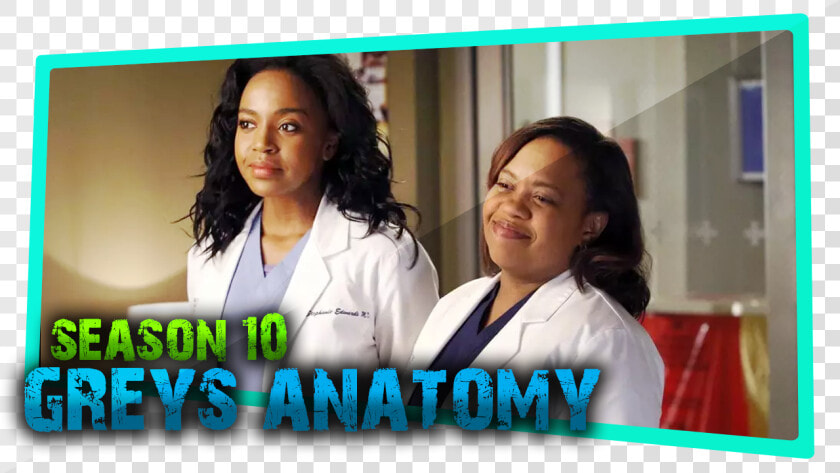 Bailey De Greys Anatomy  HD Png DownloadTransparent PNG