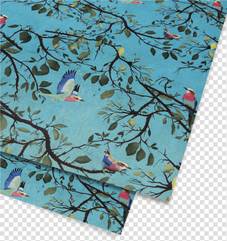 Turquoise Holler Bird Gift Wrap  HD Png DownloadTransparent PNG