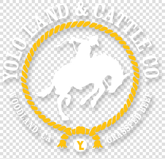 Yolo Land And Cattle Co   S  amp  J  HD Png DownloadTransparent PNG