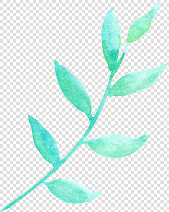 La Luz Del Sol Y La Hoja Verde Cartoon Png Transparente   Flower  Png DownloadTransparent PNG