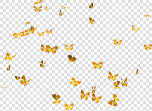 Lots Of Butterflies Png  Transparent PngTransparent PNG