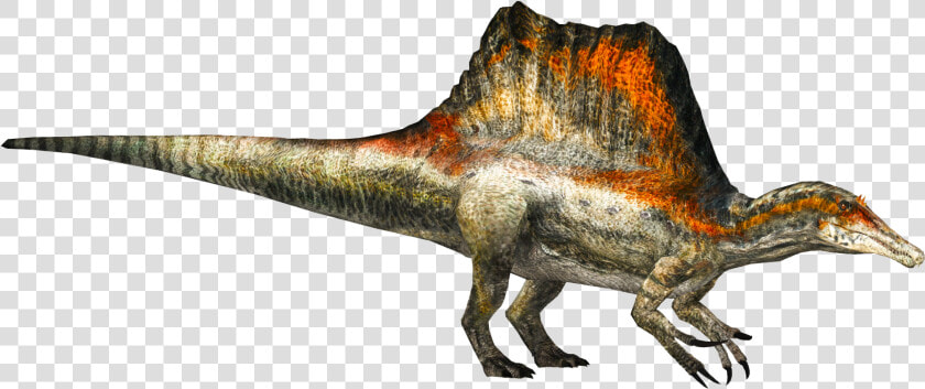 Spinosaurus Png  Transparent PngTransparent PNG