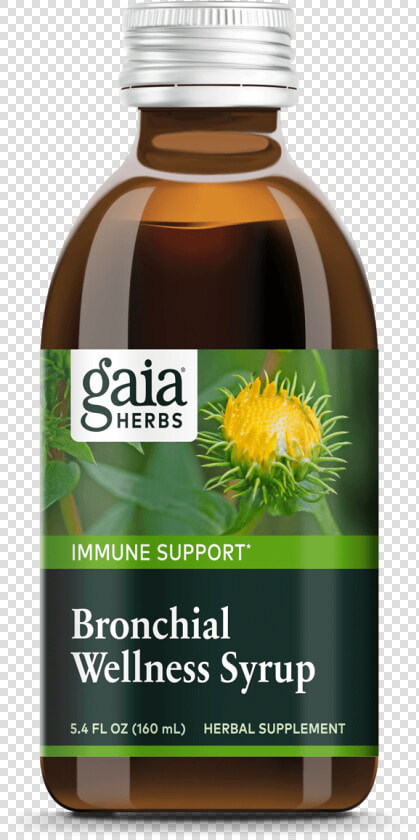 Gaia Elderberry Syrup  HD Png DownloadTransparent PNG