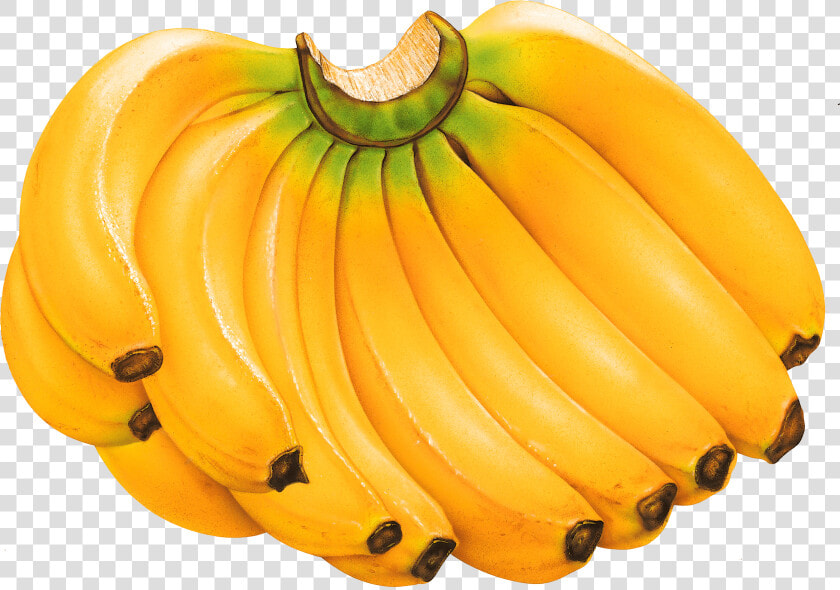 Transparent Banana Clipart   Fruits Banana Png  Png DownloadTransparent PNG