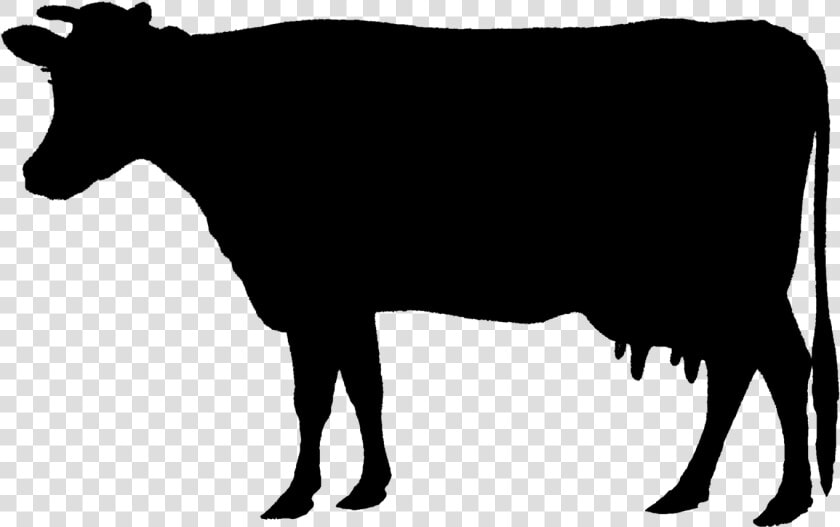 Holstein Friesian Cattle Animal Silhouettes Calf Beef   Farm Animal Silhouettes Clipart  HD Png DownloadTransparent PNG