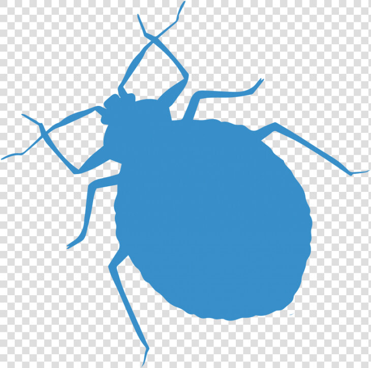 Weevil  HD Png DownloadTransparent PNG