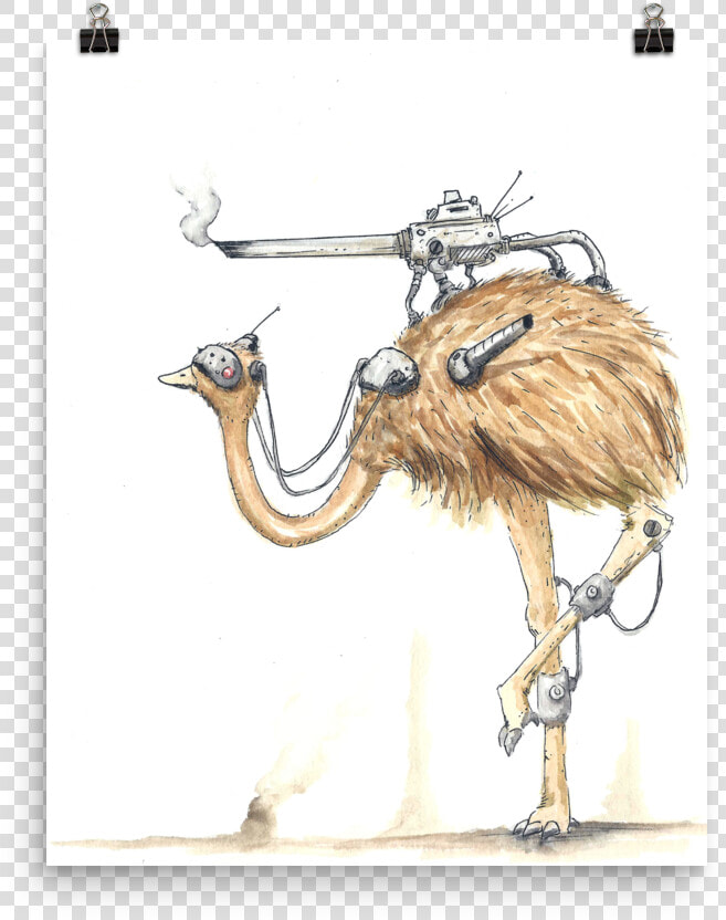 Emu On Plane  HD Png DownloadTransparent PNG