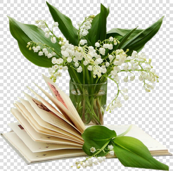 Transparent Lily Of The Valley Png   Tubes Png 1er Mai  Png DownloadTransparent PNG