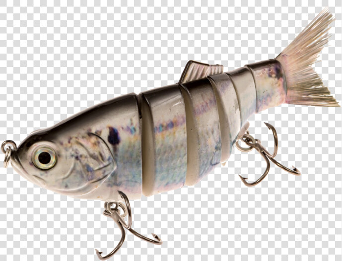 Shad Wood Swimbait  HD Png DownloadTransparent PNG